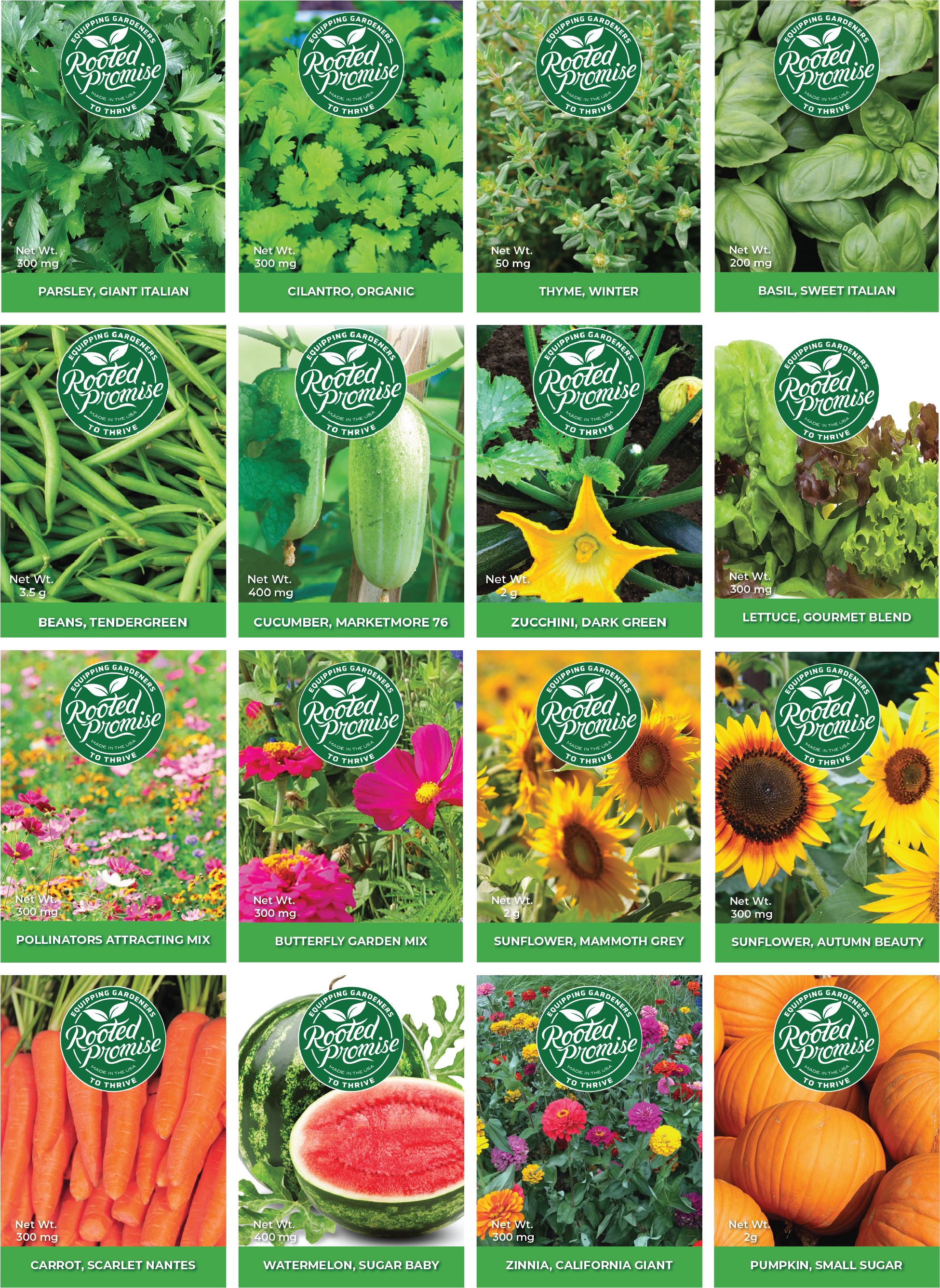 all plants produce seeds Seed Bundle, All Seeds, 16 Packs – Rooted Promise